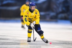 20241226 under bandymatchen i Division 1 mellan Skövde BK och Otterbäckens BK den 26 december 2024 på Arena Billingen i Skövde.