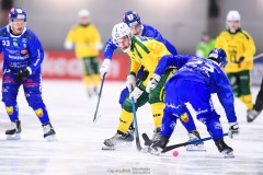 20241228 Ljusdals Jonas Söder under bandymatchen i Elitserien mellan Villa-Lidköping BK och Ljusdals BK den 28 december 2024 i Sparbanken Arena i Lidköping.