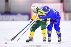 20241228 Villa-Lidköpings Alwin Andersson och Ljusdals Kalle Eriksson under bandymatchen i Elitserien mellan Villa-Lidköping BK och Ljusdals BK den 28 december 2024 i Sparbanken Arena i Lidköping.